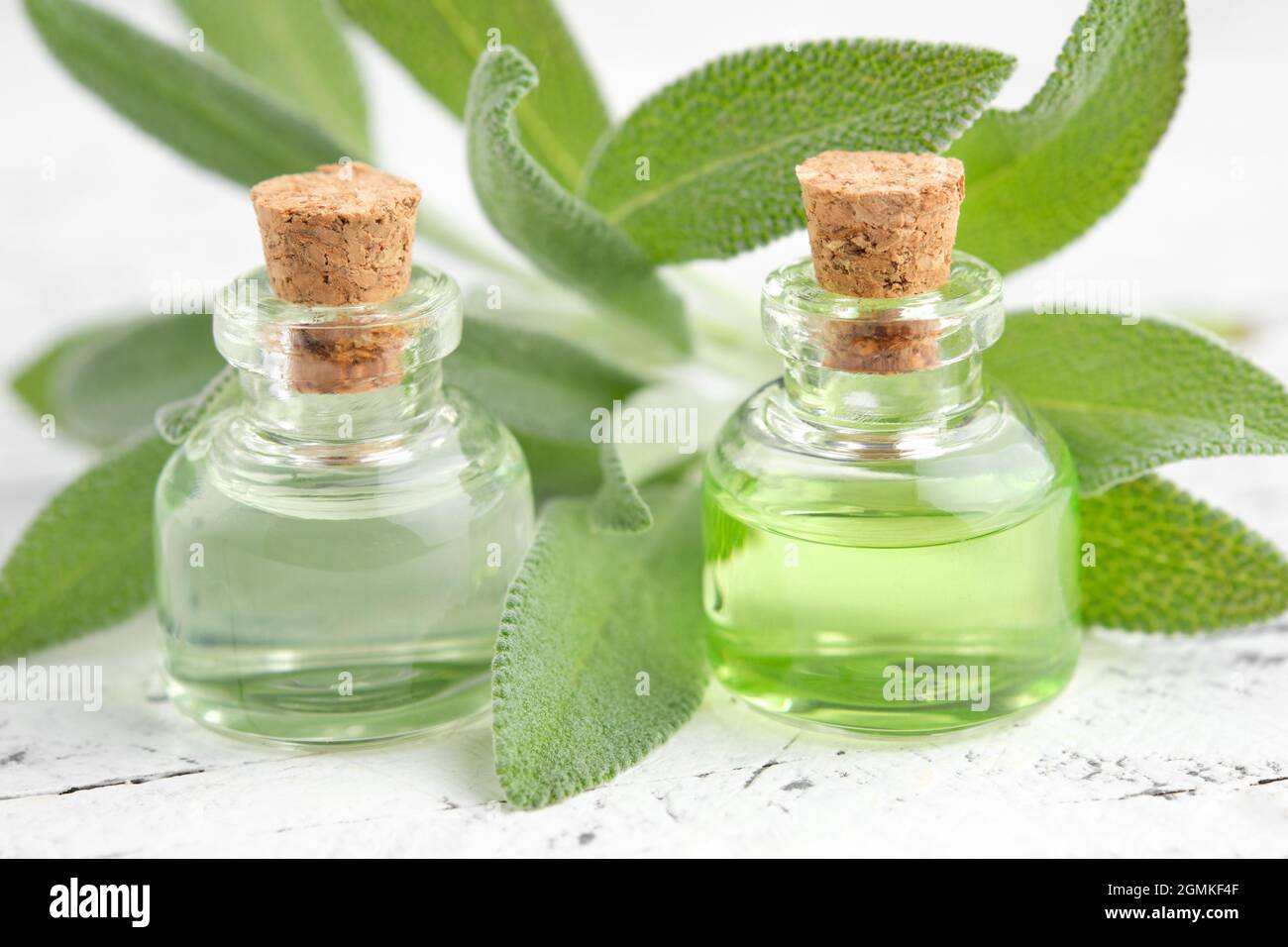 Flaschen mit ätherischem Salbei-Öl, frischen grünen Blättern von Salbei oder Salvia officinalis Heilpflanzen. Aromatherapie. Alternative und pflanzliche Medizin. Stockfoto