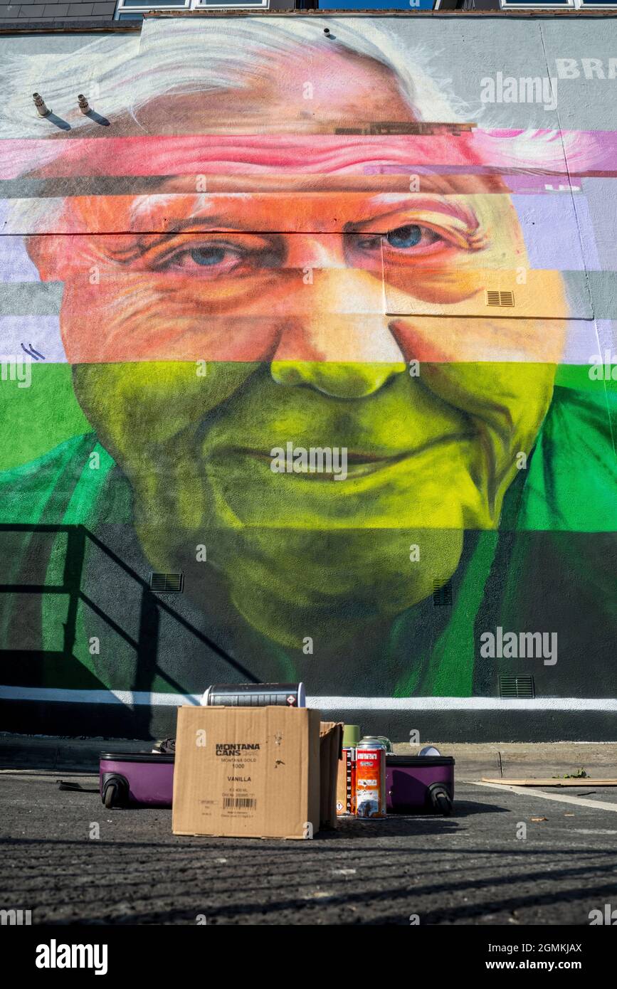 Große Wandgemälde, die an der Seite des Gebäudes für das Southend Arts Festival gemalt wurden, einschließlich eines Glitch-Effekts von Sir David Attenborough von Scott Irving Stockfoto