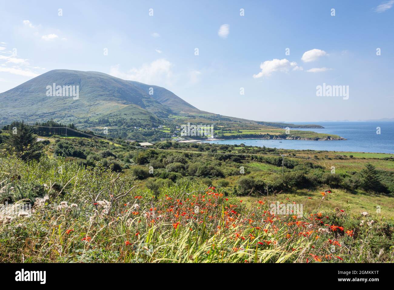 Küstenlandschaft, Halbinsel Dingle (Corca Dhuibhne), County Kerry, Republik Irland Stockfoto