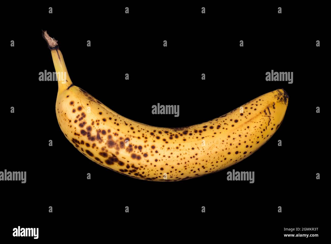 Verfaulte Banane auf schwarzem Hintergrund isoliert. Abgelaufene Früchte. Stockfoto