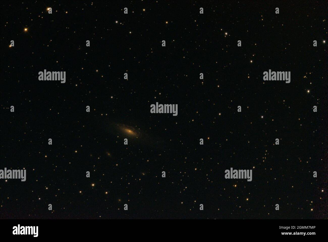 Deer Lick Galaxy Group Stockfoto