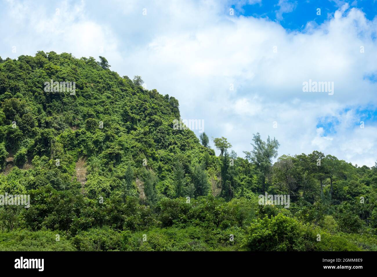 Grüner Berg in der Nähe Blick unter dem hellen sonnigen Himmel Stockfoto