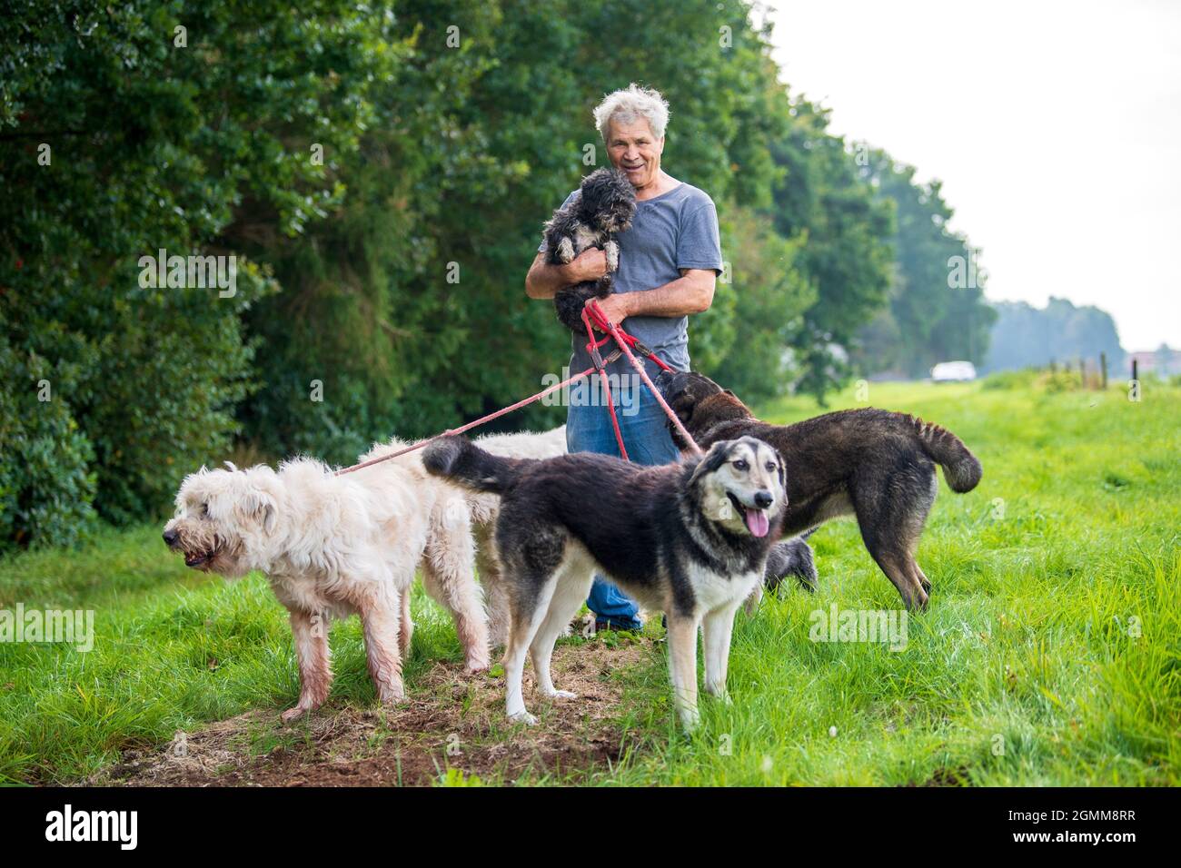 PRODUKTION - 07. September 2021, Niedersachsen, Ovelgönne: Bernhard Kutz  nimmt seine Hunde mit auf einen Spaziergang. Der Gnadenhof Pferdeoase ist  das letzte Heiligtum für Pferde. Mehr als 30 Pferde und viele andere