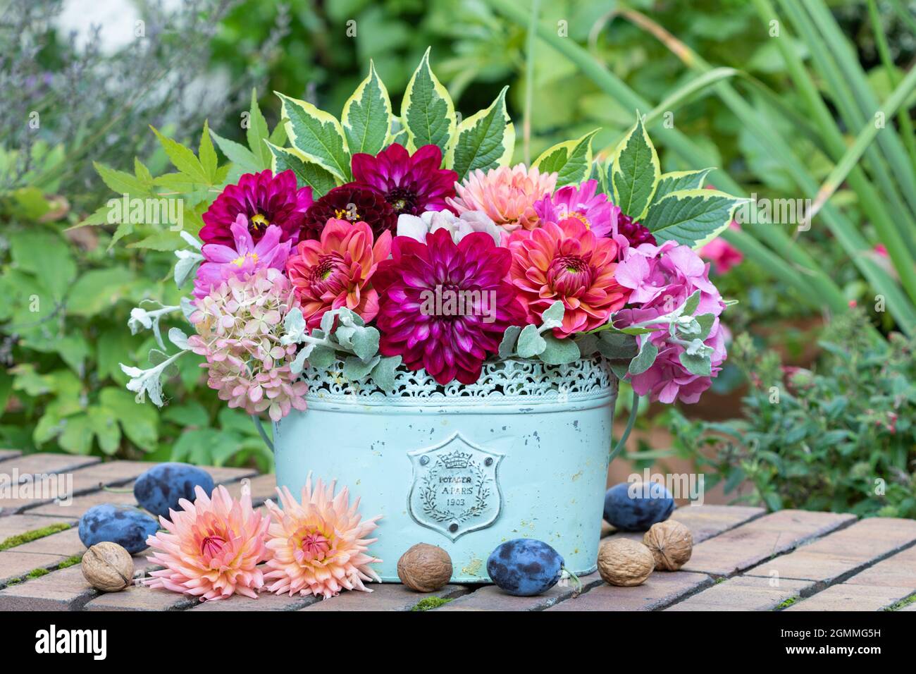 Bouquet von Dahlien und Hortensien Blumen im Vintage-Topf Stockfoto