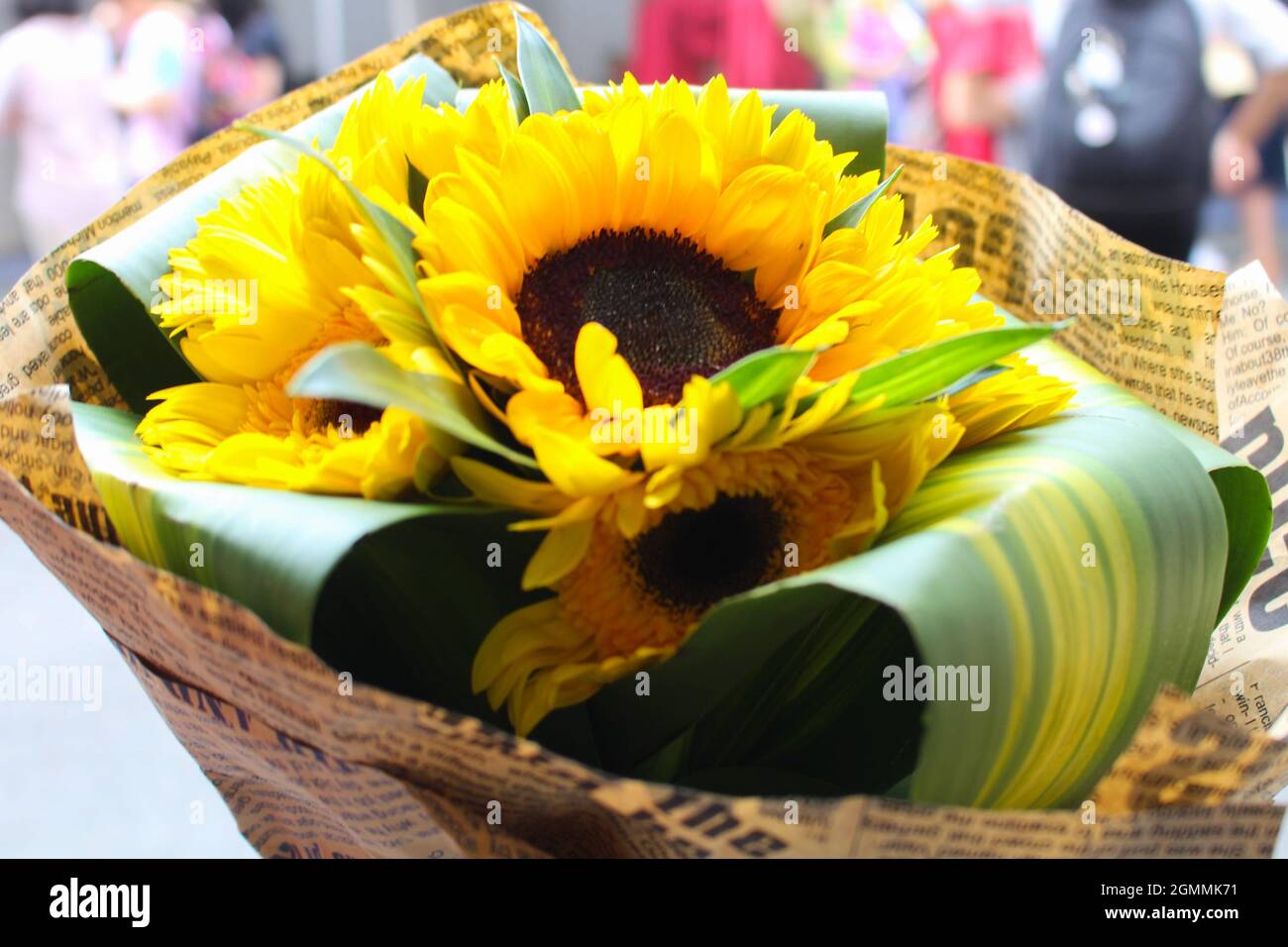 Ein Blumenstrauß mit Sonnenblumen als Abschlussgeschenk Stockfoto