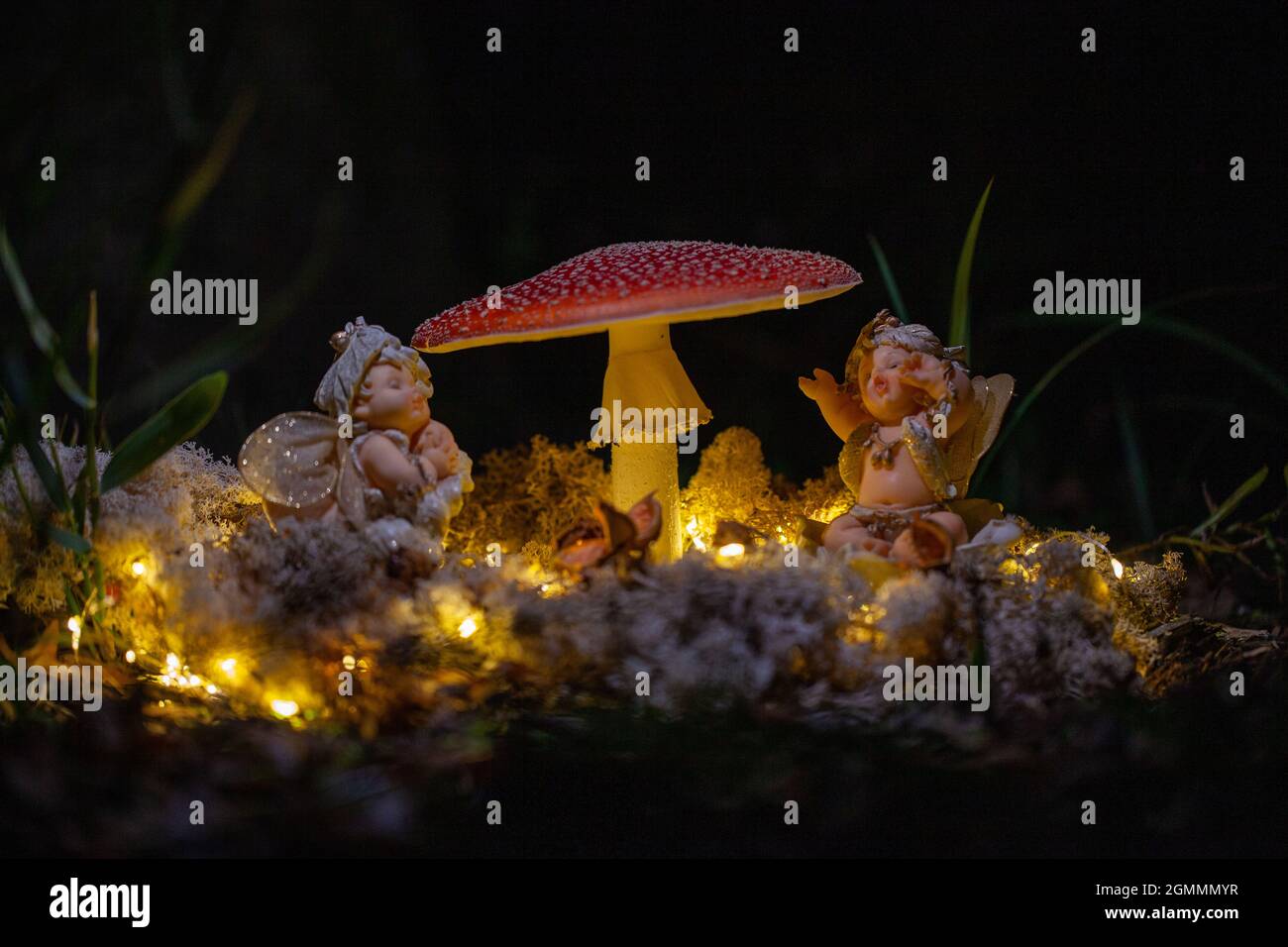 Fantasy Magische Pilze und Elfen im verzauberten Märchen verträumter Elfwald mit fabelhaftem Märchenmoos und Lichtern auf geheimnisvollem Naturhintergrund und strahlend leuchtenden Mondstrahlen in der Nacht. Hochwertige Fotos Stockfoto