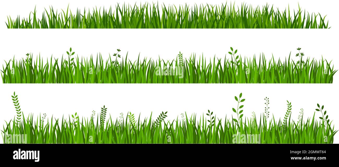 Vector Green Grass Ränder auf weißem Hintergrund gesetzt. Stock Vektor