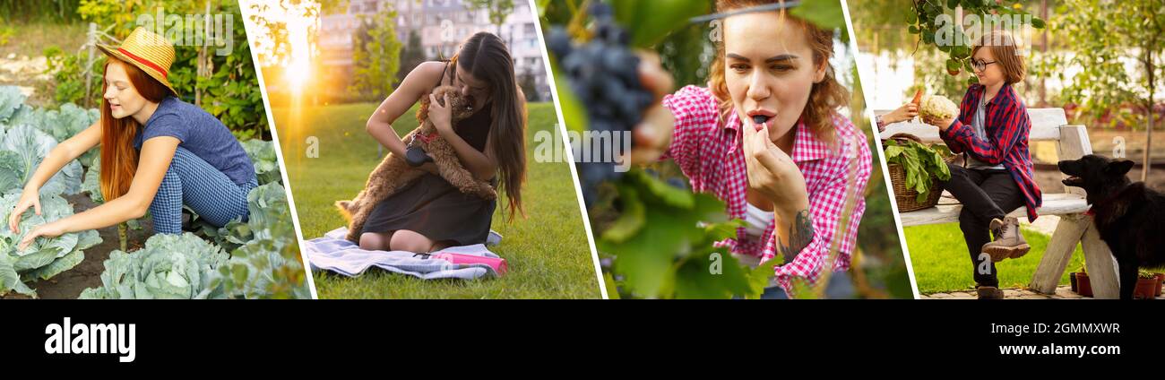 Collage. Junge Frauen, Männer, Kinder verbringen ihre Freizeit im Freien. Der Urlaub, Sommer, Abenteuer, Lifestyle, Picknick-Konzept Stockfoto