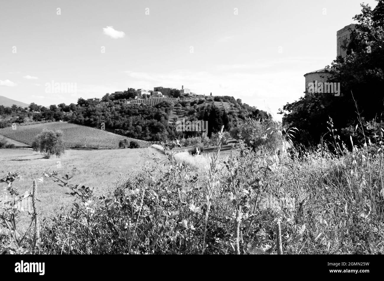 Graustufenaufnahme von landwirtschaftlichen Feldern, Bergwäldern und Gebäuden unter klarem Himmel Stockfoto