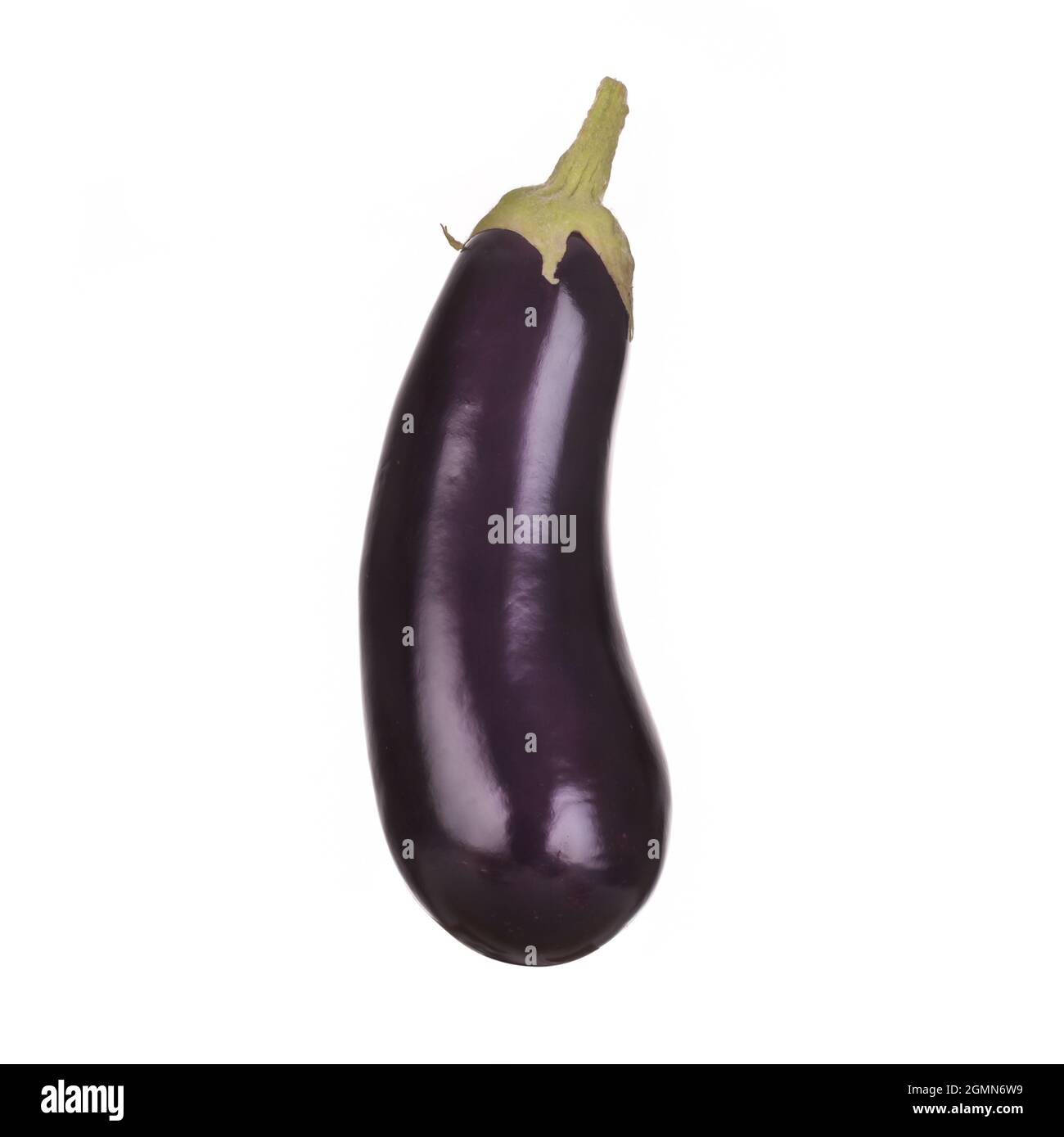 Auberginen Auberginen isoliert auf weißem Hintergrund. Einzelnes frisch gepflückte violette Gemüse Stockfoto