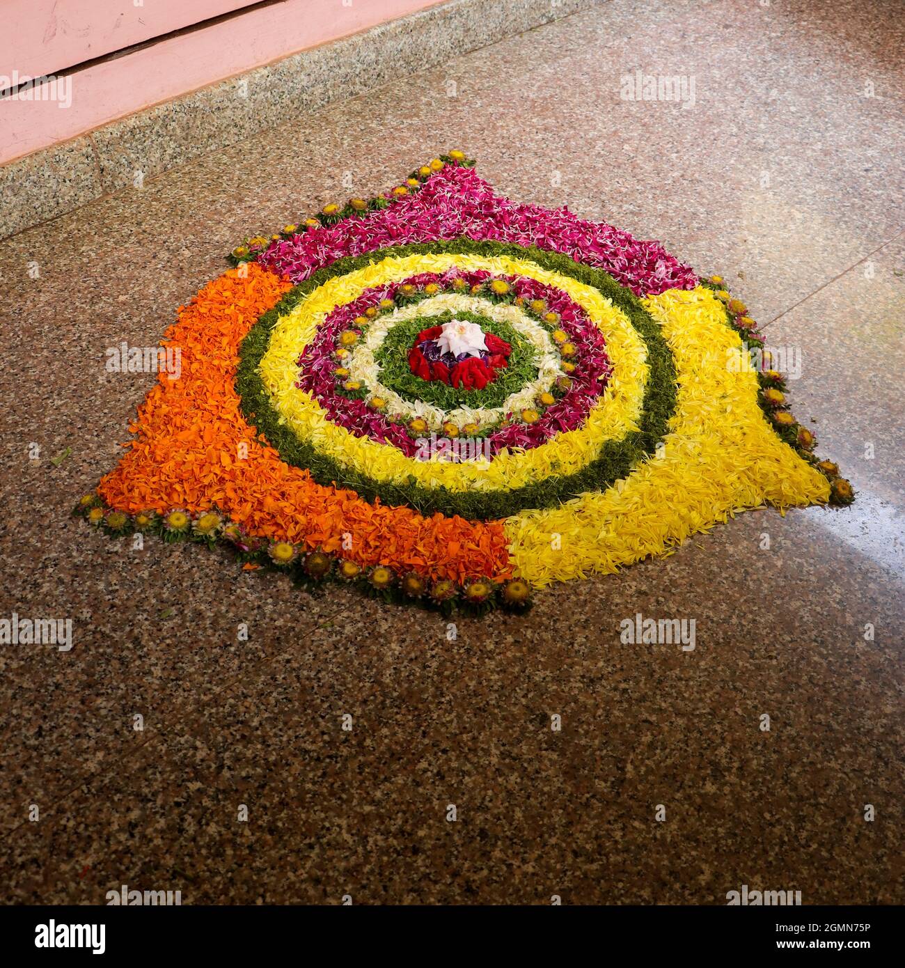 Farbenfrohe Blumenarrangements genannt Pookalam mit rosa, gelben und orangen Blumen in Verbindung mit indischen Festival onam eingerichtet Stockfoto