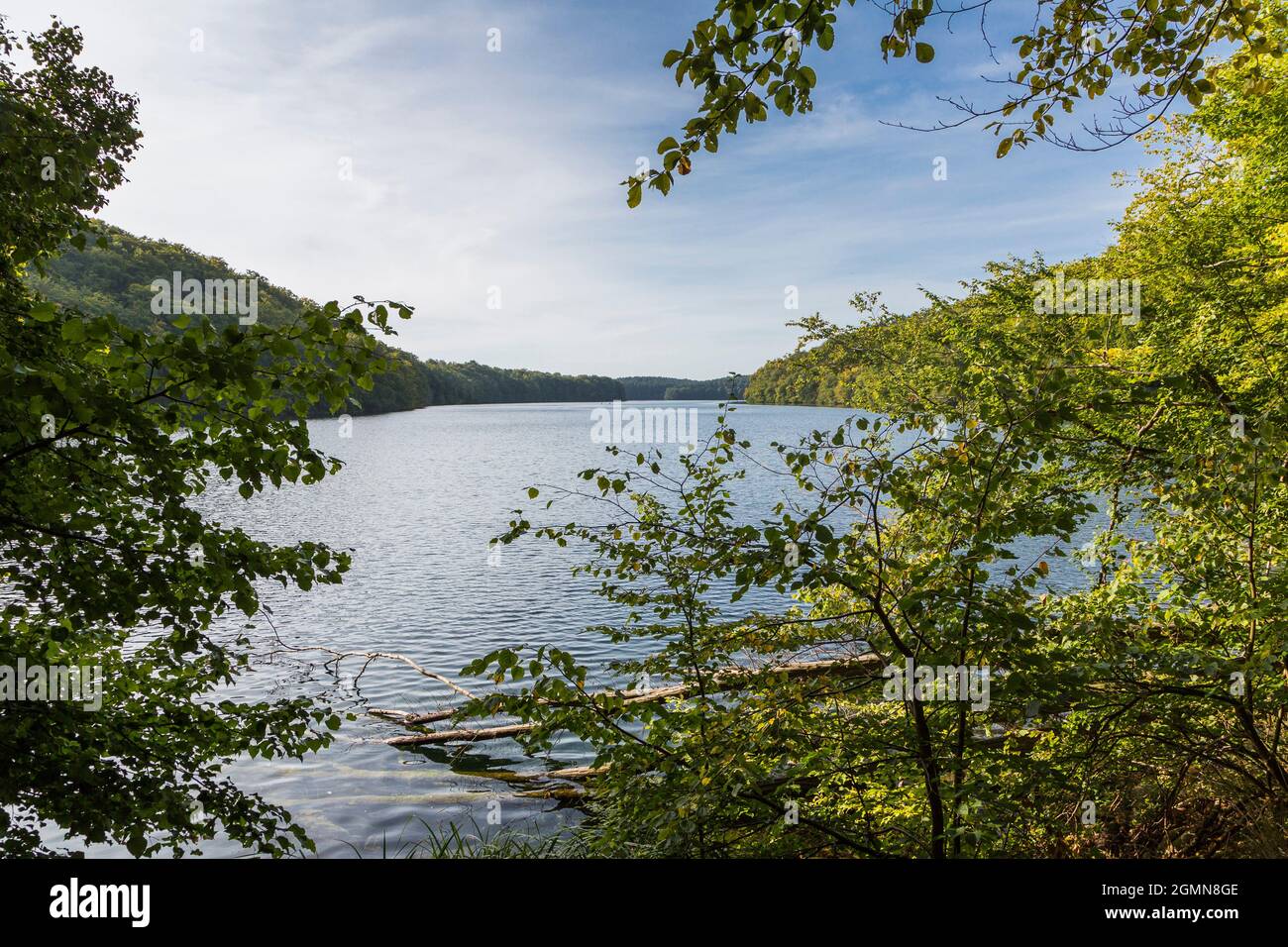 Blick auf den Schmaler Luzin See durch die Vegetation am Ufer, Deutschland, Mecklenburg-Vorpommern, Naturpark Feldberger Seenlandschaft Stockfoto