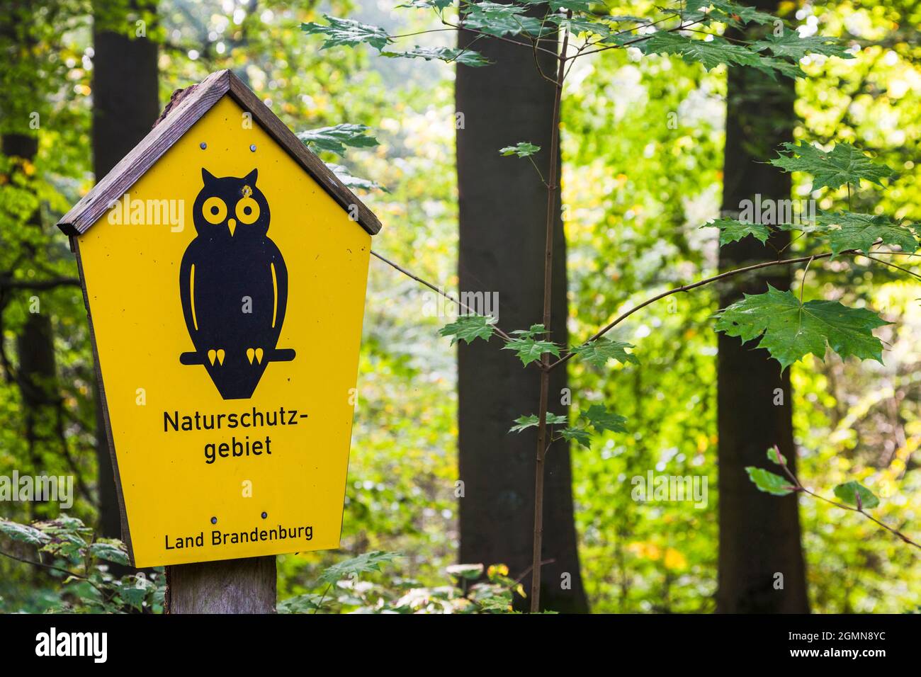 Erhaltung sind Schild mit Eule Symbol, Brandenburg, Deutschland, Brandenburg, NSG Boitzenburger Tiergarten Stockfoto