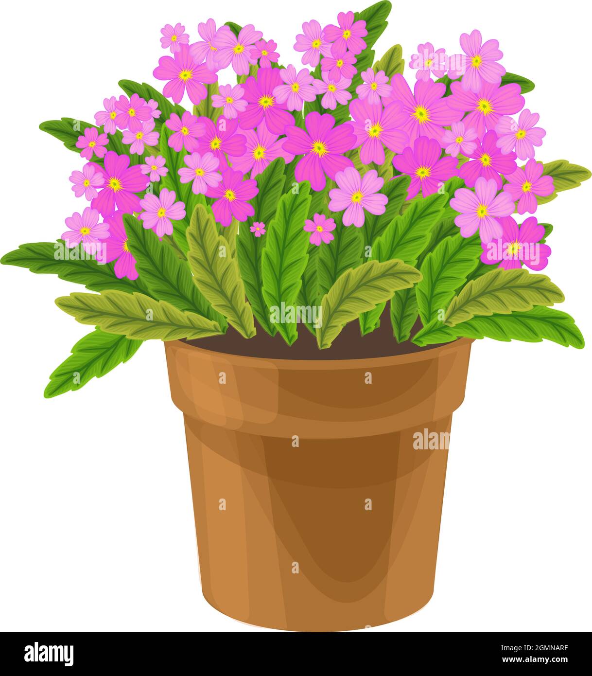 Frhling bunte Blumen in Tpfen Pflanzen fr Haus und Garten, Topfpflanzen  Stock-Vektorgrafik - Alamy