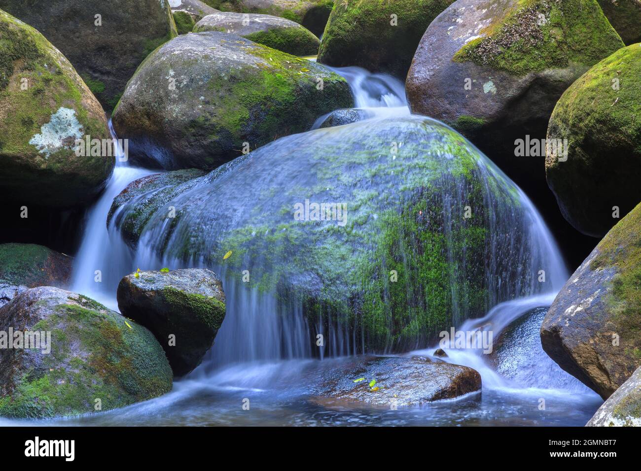 Ein Vorhang aus Wasser stürzt sich über einen moosigen Felsbrocken. Fotografiert im neuseeländischen Wald Stockfoto