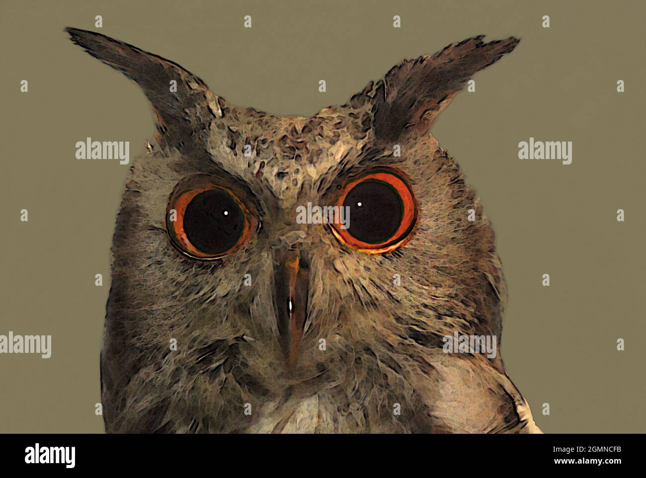 Digitale Multimedia-Kunstwerke einer jungen Adlereule. Die eurasische Adlereule (Bubo bubo) ist die Typusart, zu der gehörnte Eulen gehören. Nahaufnahme des Kopfes Stockfoto