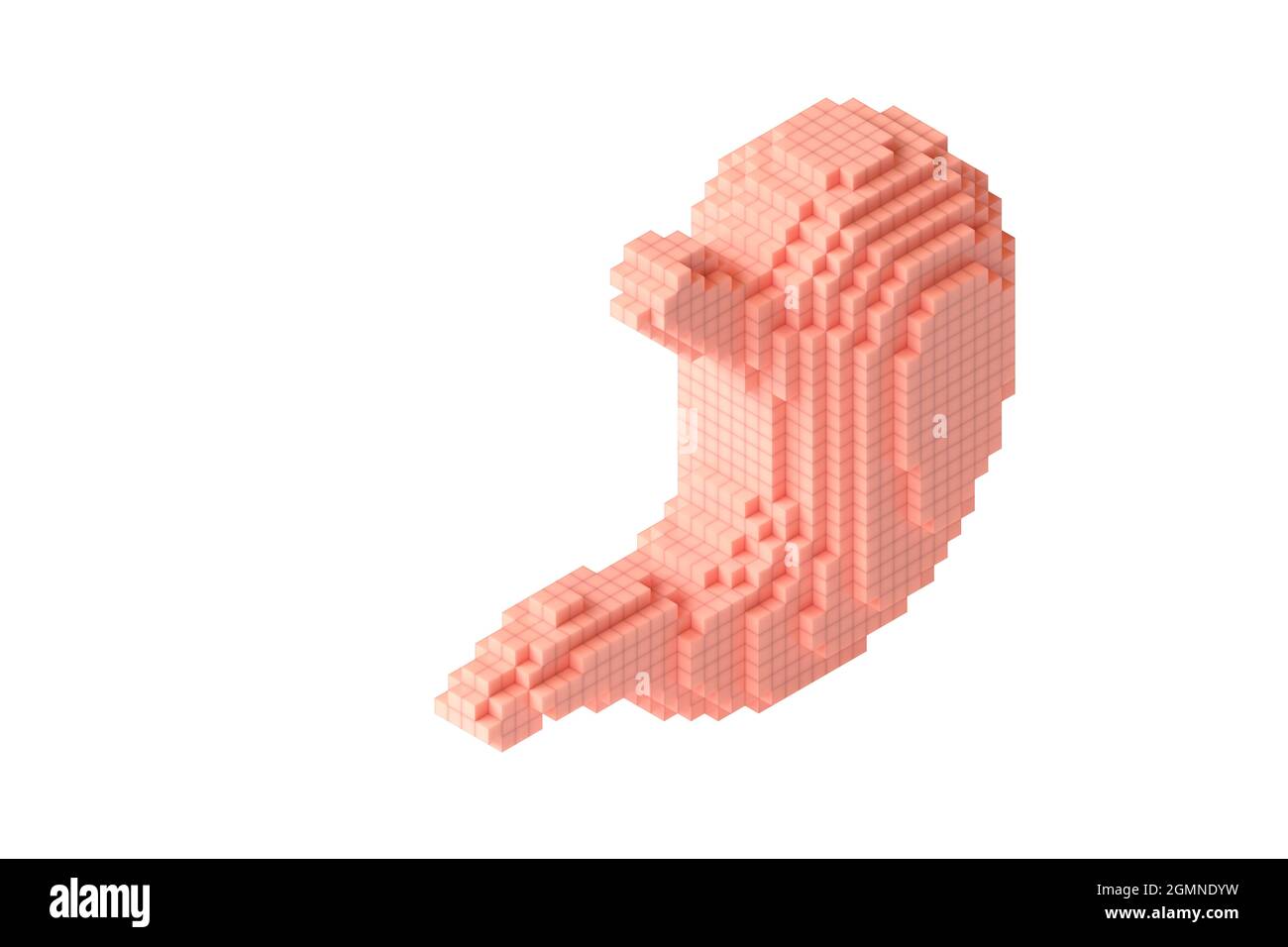 Menschlicher Magen aus vielen Würfeln. 3d-Illustration der stilisierten blockartigen Anatomie des menschlichen Magens Stockfoto