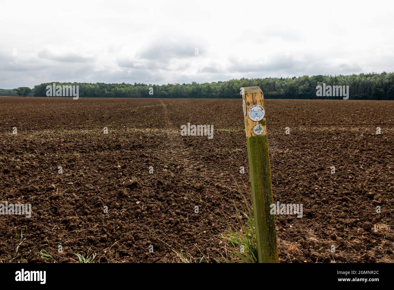 Öffentlicher Fußweg auf Rundungen mit Pfeilen auf weißem Hintergrund, montiert auf einem Holzpfosten, der geradeaus, links und rechts zeigt. Stockfoto