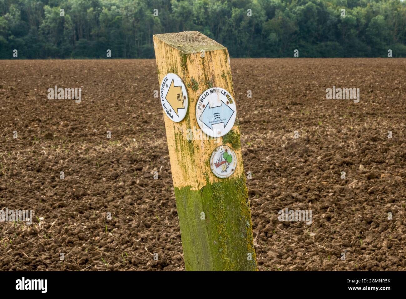 Öffentlicher Fußweg auf Rundungen mit Pfeilen auf weißem Hintergrund, montiert auf einem Holzpfosten, der geradeaus, links und rechts zeigt. Stockfoto