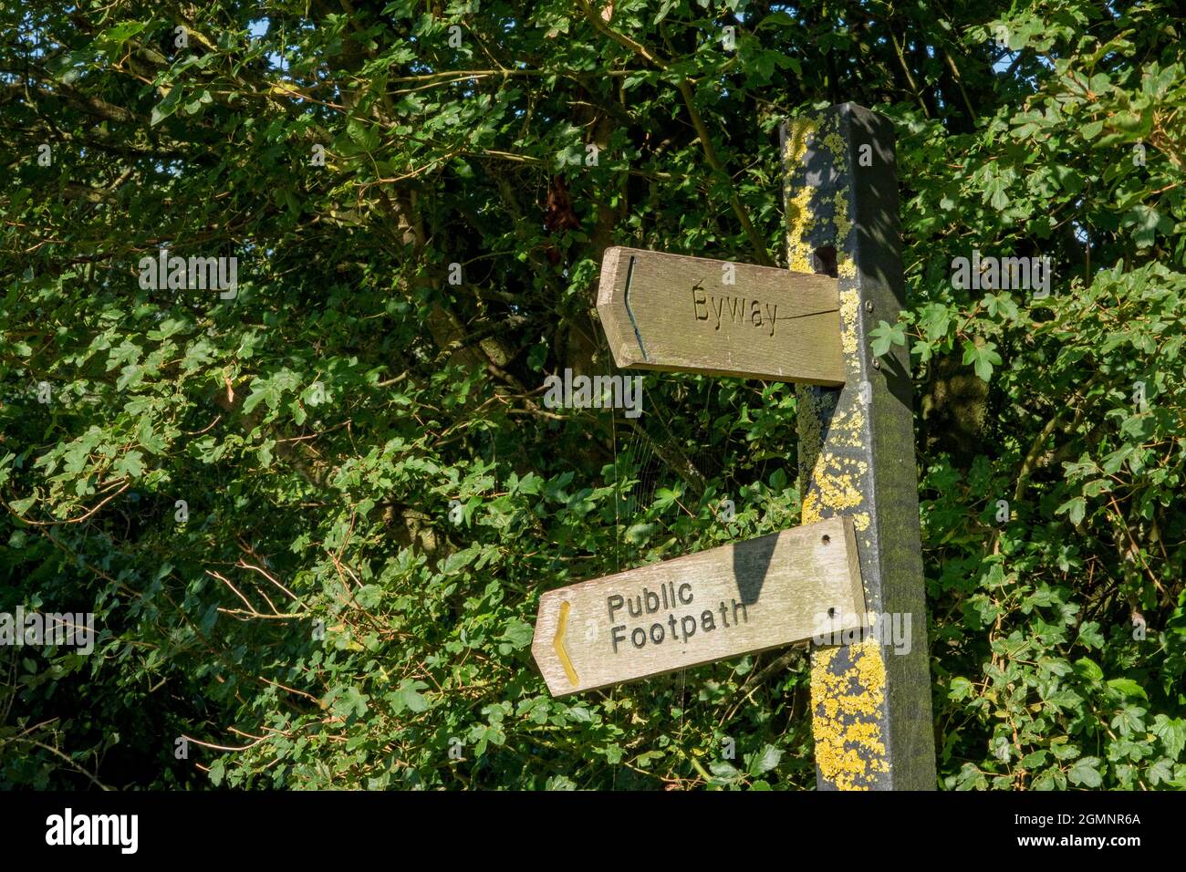 Öffentliche Fußpfadzeichen zeigen sowohl Byway als auch öffentliche Fußwege mit Aufschrift in Holz geschnitzt, aber in einem Kunststoff-Verbindung vertikalen Pfosten gesetzt Stockfoto
