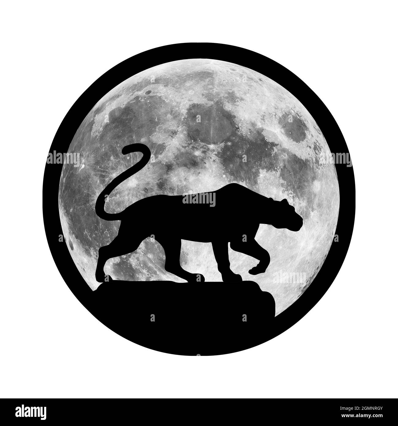 Die Silhouette eines Löwen oder Tigers vor dem Hintergrund des Mondes. Illustration einer räuberischen Wildkatze. Ein Verwandter des Puma, Panther, Leopard Stockfoto