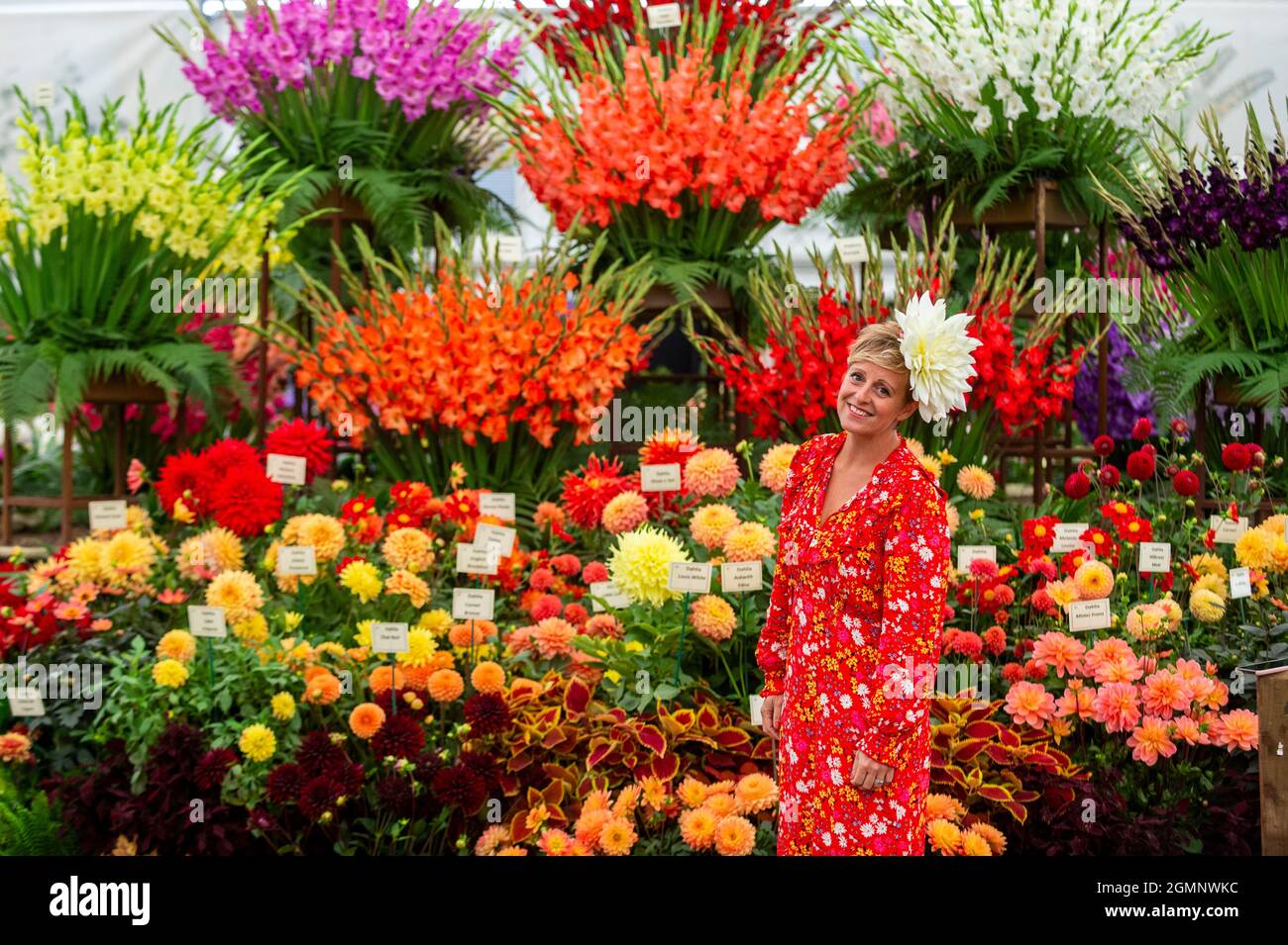 London, Großbritannien. 20. September 2021. Andie McDowell von Dahlia Beach posiert mit Dahlien am Pheasant Acre Plants Stand auf der RHS Chelsea Flower Show. Aufgrund von Covid-19-Bedenken im vergangenen Jahr abgesagt, ist dies das erste Mal, dass die Show im September (in der Regel im Mai) stattfindet. Die Show läuft bis zum 26. September im Royal Hospital Chelsea. Kredit: Stephen Chung / Alamy Live Nachrichten Stockfoto