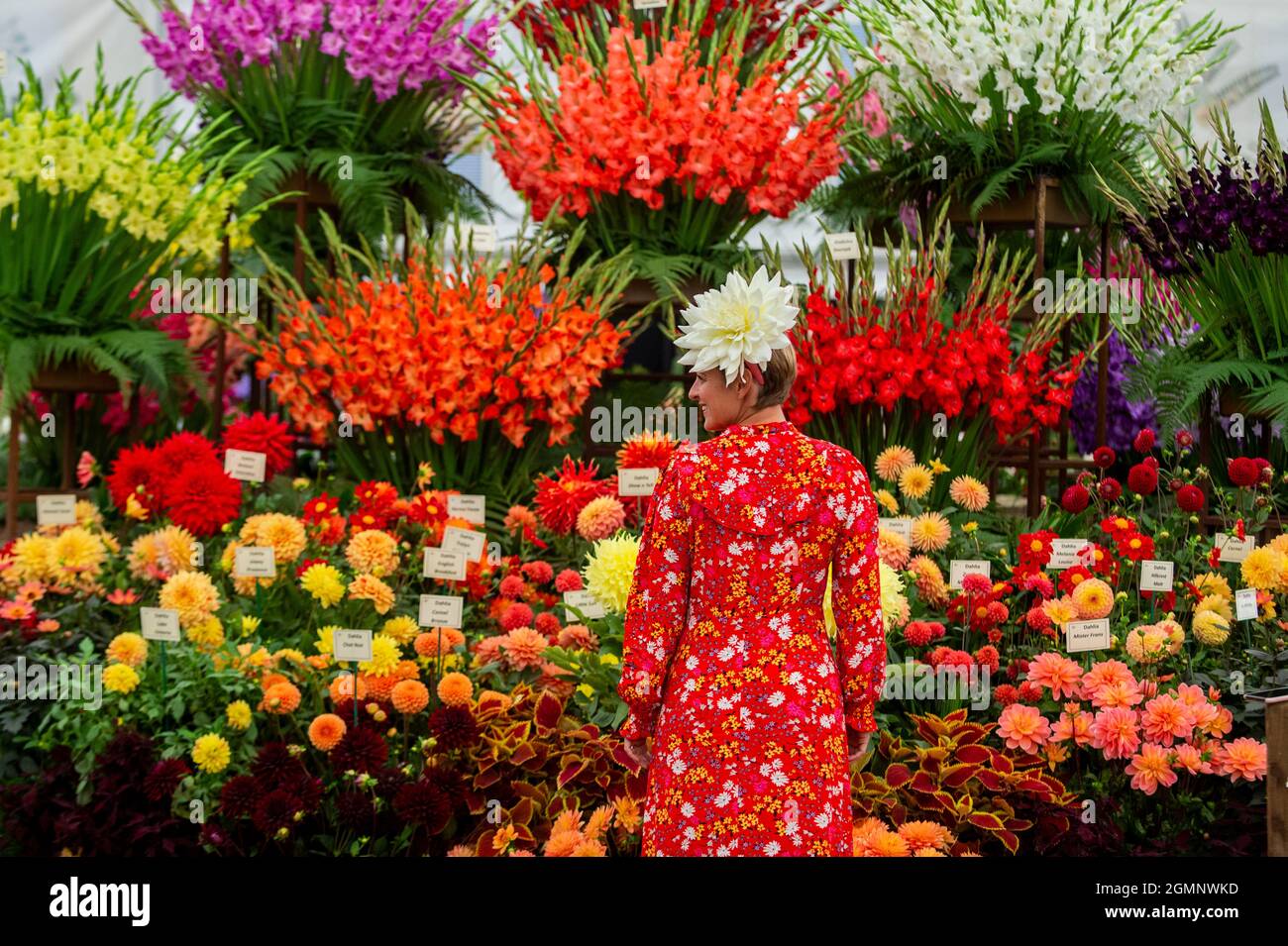 London, Großbritannien. 20. September 2021. Andie McDowell von Dahlia Beach posiert mit Dahlien am Pheasant Acre Plants Stand auf der RHS Chelsea Flower Show. Aufgrund von Covid-19-Bedenken im vergangenen Jahr abgesagt, ist dies das erste Mal, dass die Show im September (in der Regel im Mai) stattfindet. Die Show läuft bis zum 26. September im Royal Hospital Chelsea. Kredit: Stephen Chung / Alamy Live Nachrichten Stockfoto
