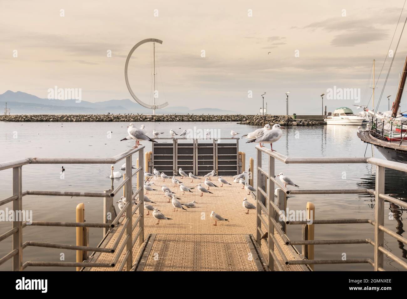 Viele Möwen auf einer Fußgängerbrücke im Hafen bei Sonnenuntergang. Stockfoto