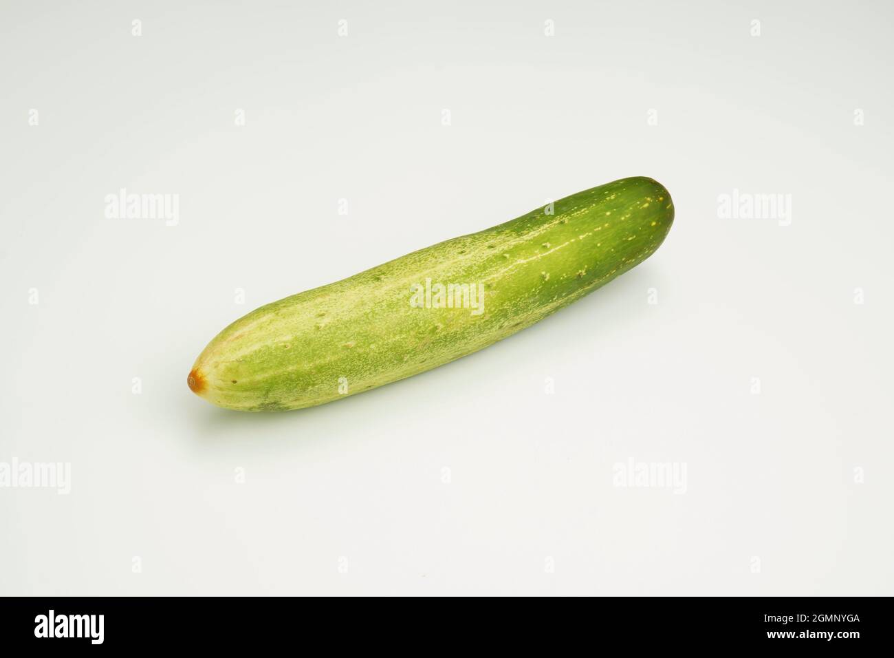 Ganze Gurke auf weißem Hintergrund Stockfoto
