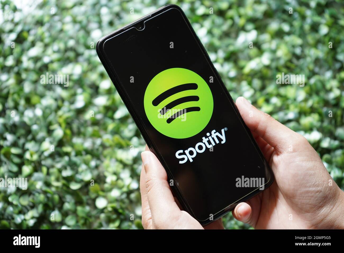 Neu Delhi, Indien - 13.09.2020: Spotify App-Logo auf dem Mobiltelefon, Music Streaming App Stockfoto