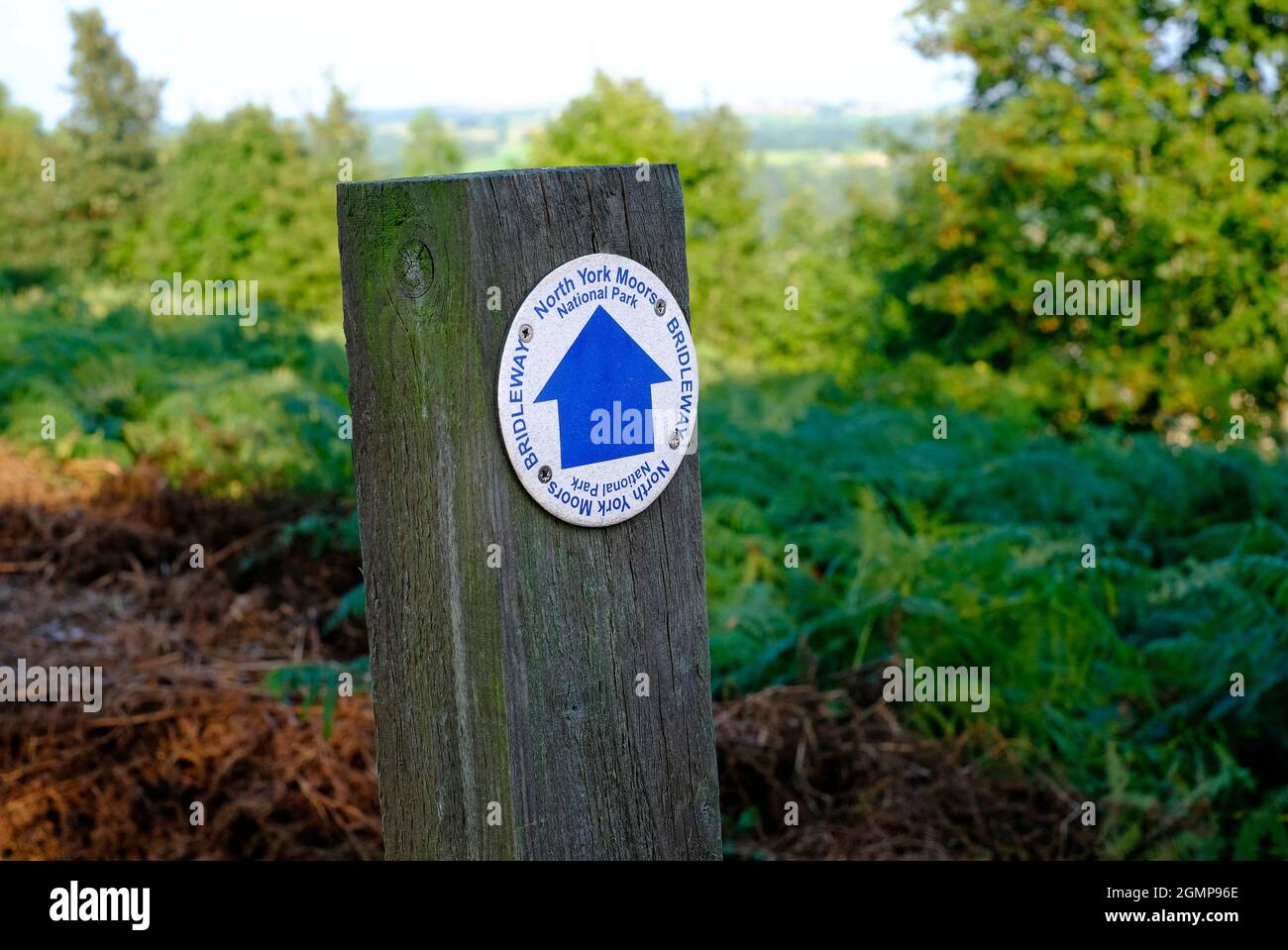 north yorkshire Moors Fußweg Richtung Schild, Glaisdale, england Stockfoto