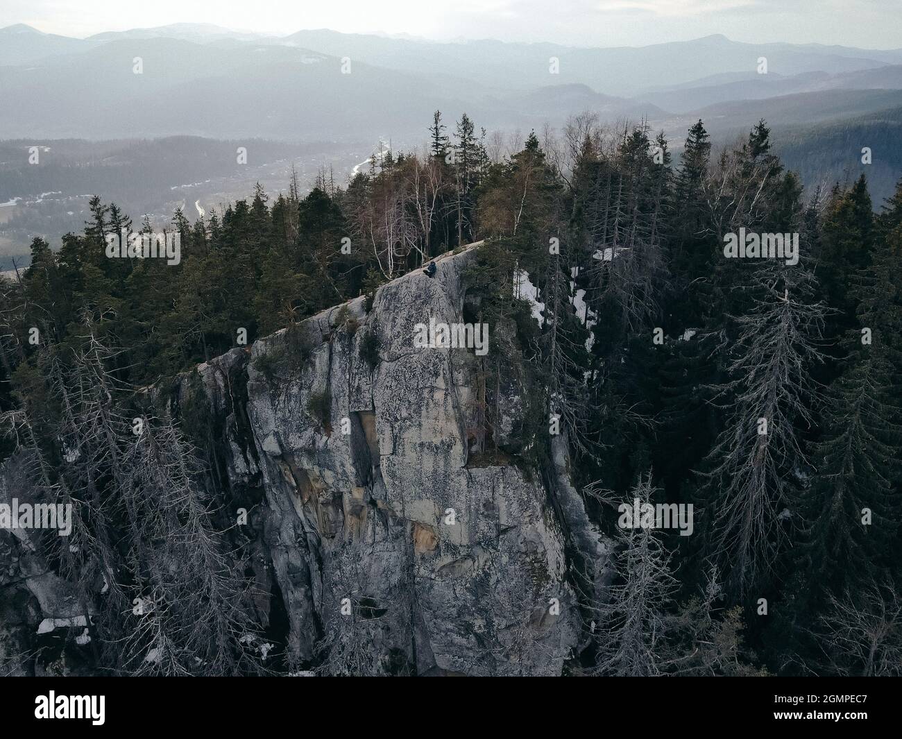 Ein Baum mit einem Berg im Schnee Stockfoto