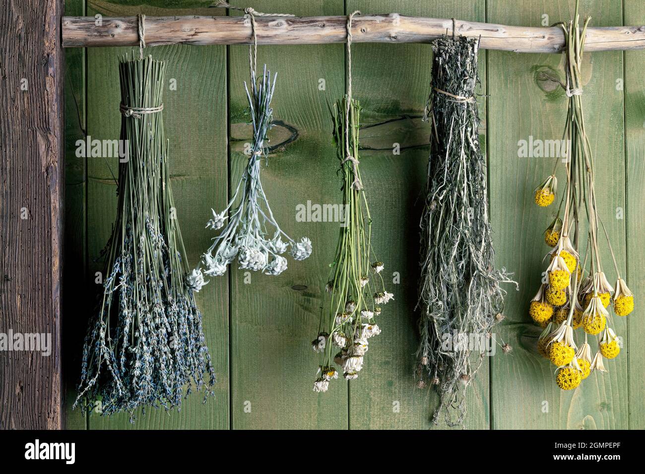 Verschiedene getrocknete Kräuter und Blumen vor rustikalem Hintergrund Stockfoto