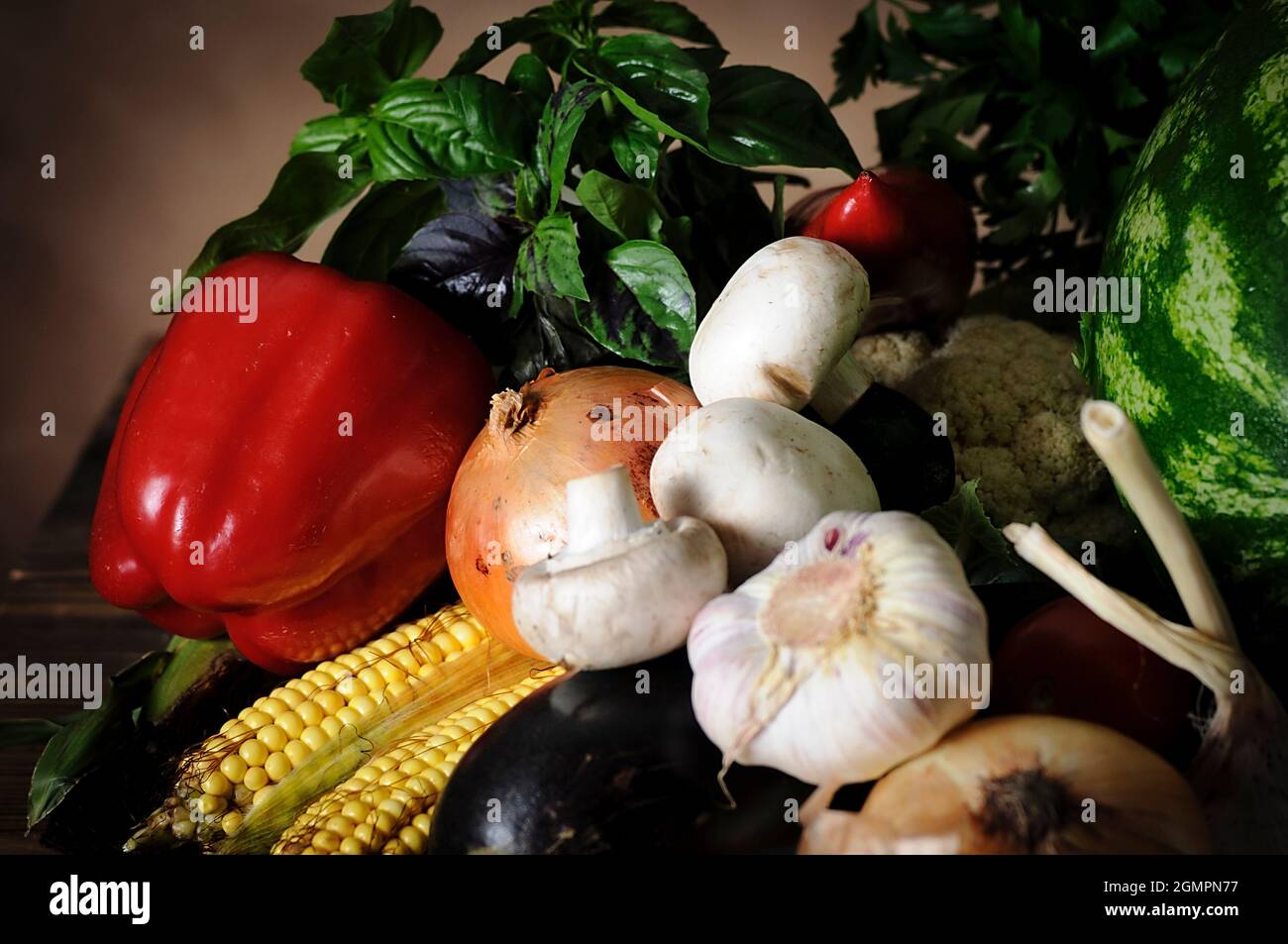 Stillleben von frischem Gemüse. Nahaufnahme. Selektiver Fokus. Stockfoto