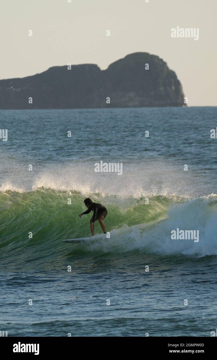 Gower, Swansea, Großbritannien. September 2021. UK Wetter: Ein schöner sonniger und warmer Abend mit einer leichten Brise an Land am Llangennith Strand auf der Gower Halbinsel, Wales. Ein Surfer fängt eine Fahrt mit dem Vorgebirge von „Worms Head“ im Hintergrund an. Kredit: Gareth Llewelyn/Alamy Live Nachrichten Stockfoto