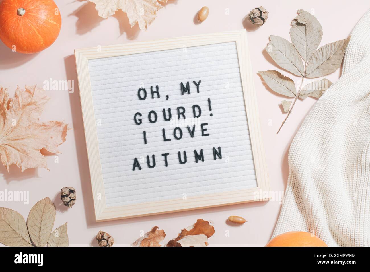 Filzbriefbrett und Text oh mein Kürbis, ich liebe Herbst und Blätter, Kürbisse, Pullover auf beigem Hintergrund.Herbstkonzept. Flache Lay Draufsicht Stockfoto