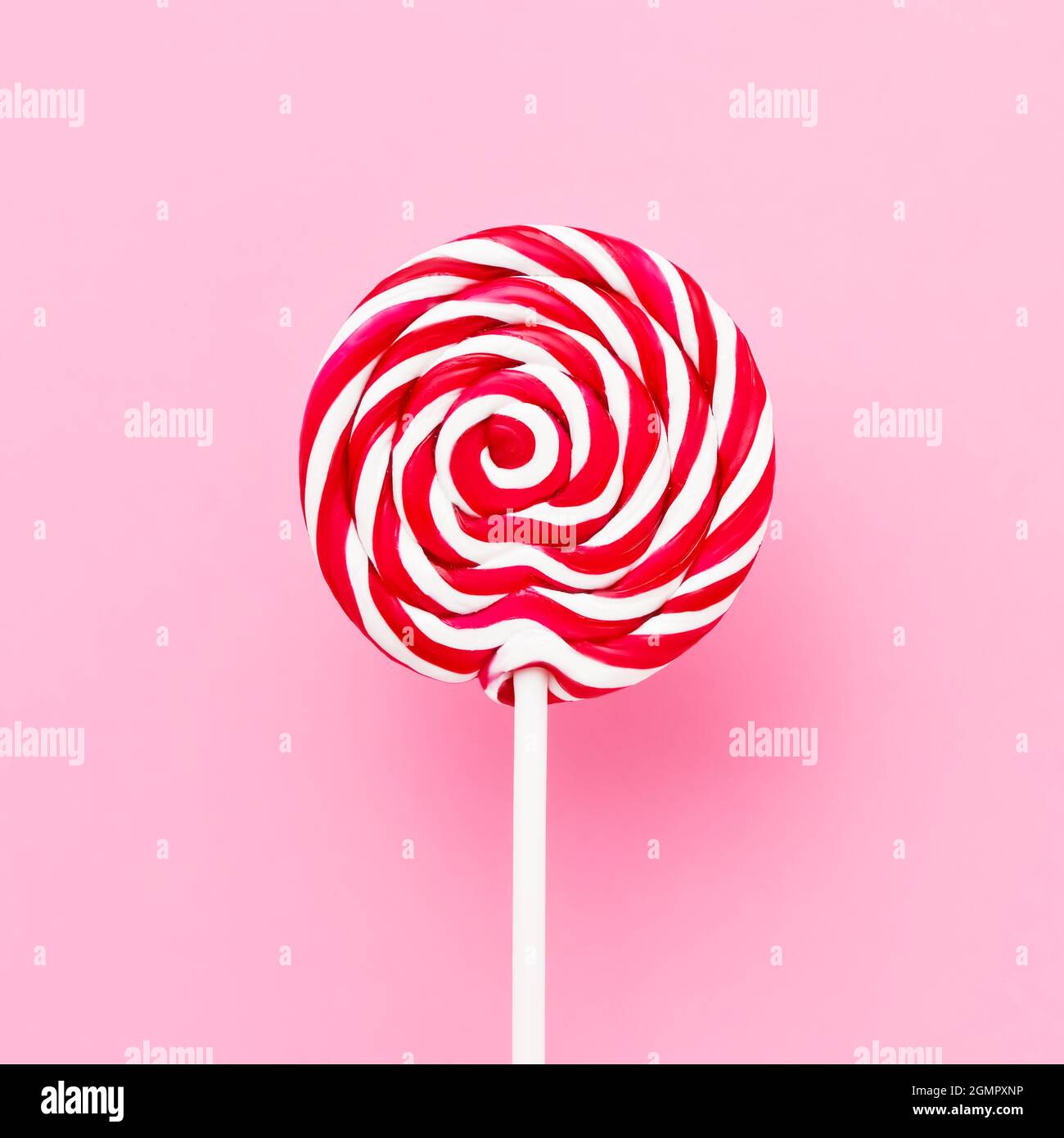 Rot-weißer Lollipop wirbelt auf einem weißen Stock über rosa Hintergrund. Draufsicht, Kopierbereich Stockfoto