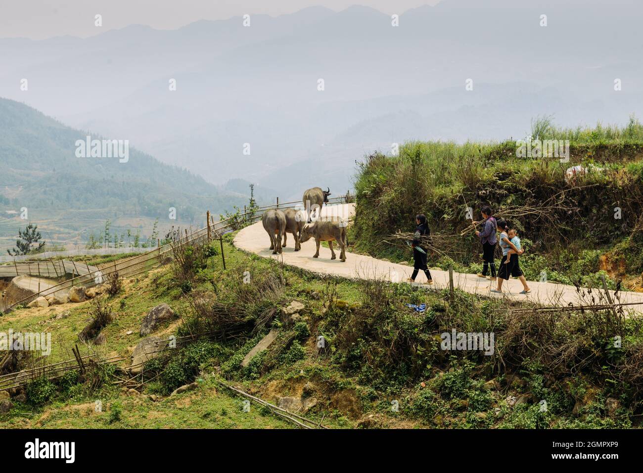 Mann, der im Sommer mit einer Fotokamera unterwegs ist und die grünen Berge fotografiert. Landschaftsfotografie während einer kurzen Pause Stockfoto