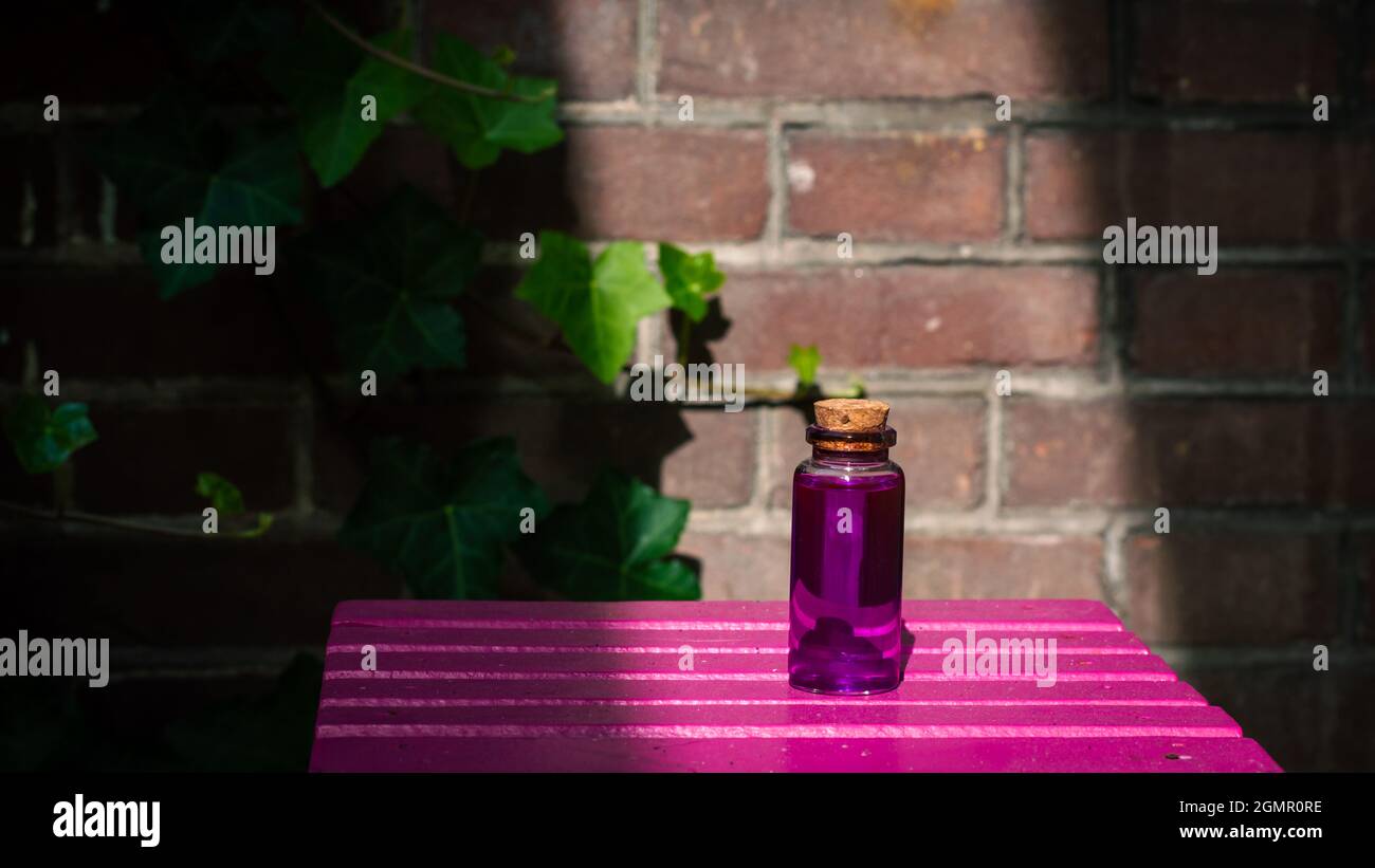 Abbildung einer Glasflasche mit rosa Flüssigkeit auf einer rosa Oberfläche in der Sonne Stockfoto