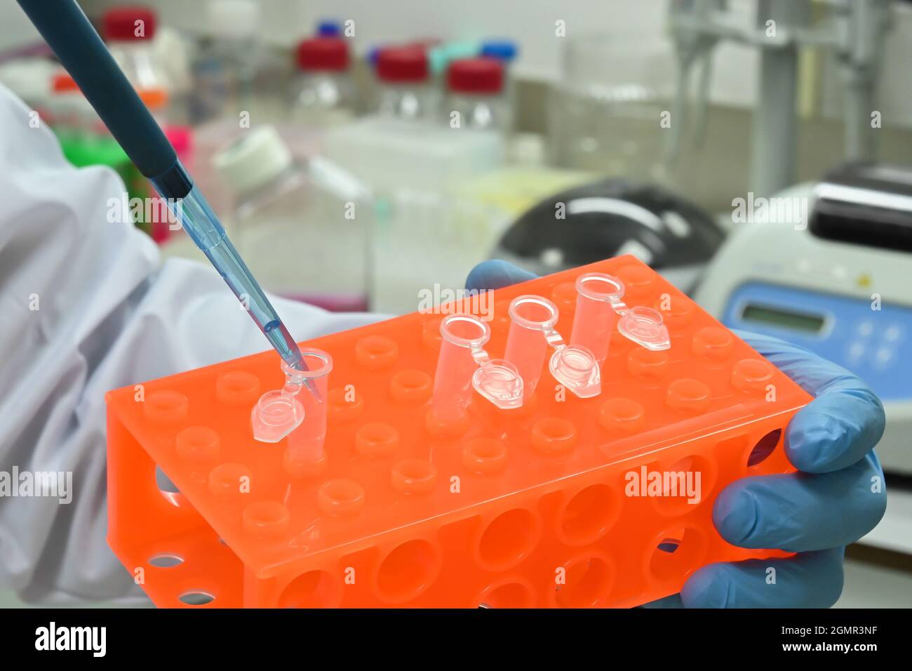 Im biologischen Labor. Laborforschung in Biologie und Medizin. Stockfoto