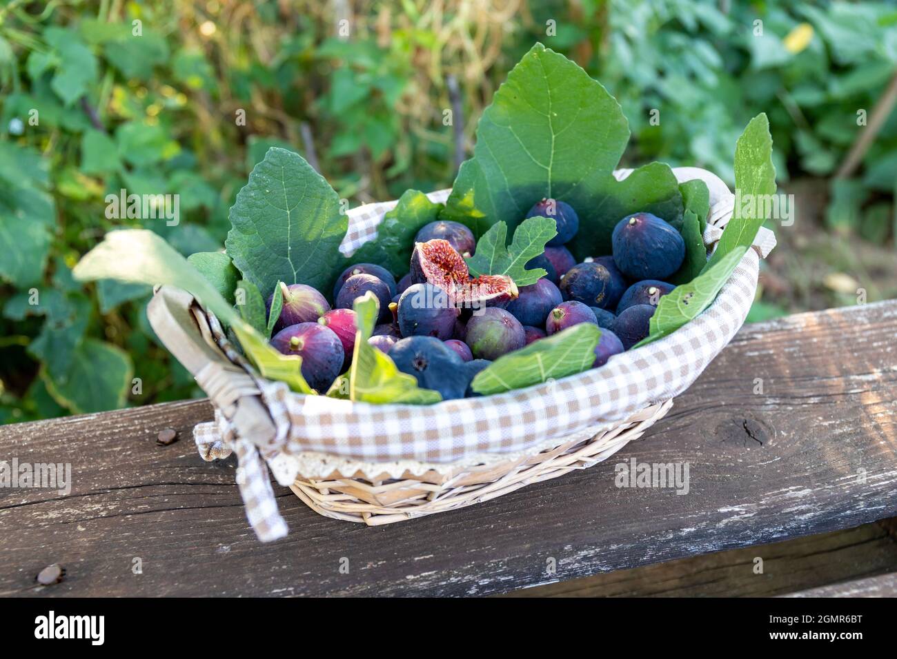 Ein Korbkorb voller frisch gepflückter purpurner Feigen auf einem Holztisch. Die in der Mitte geschnittene Feige lädt zum Probieren ein. Landleben Co Stockfoto