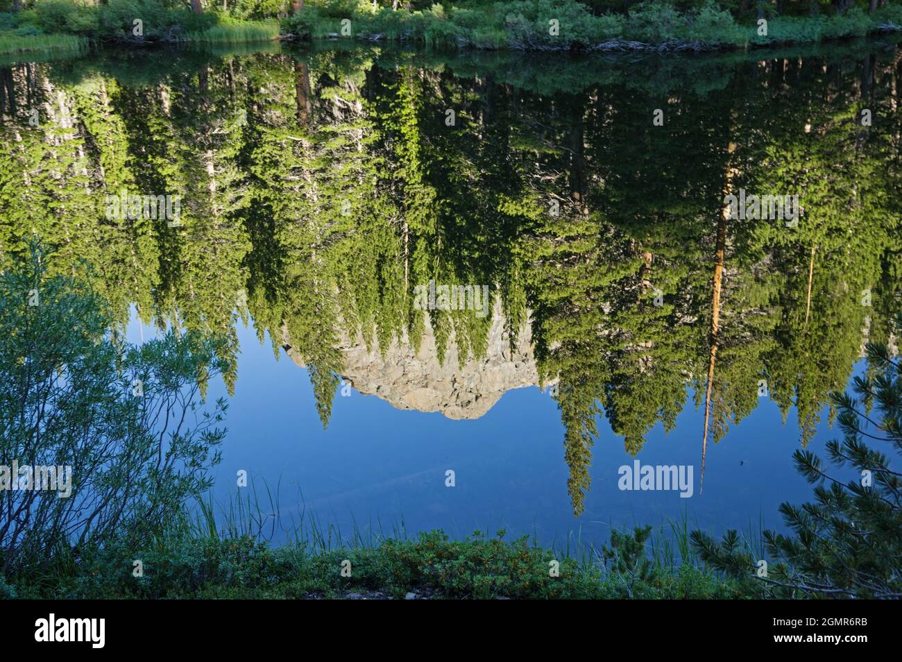 Spiegelung von Pinien und einem Granitgipfel in einem stillen Bergsee Stockfoto