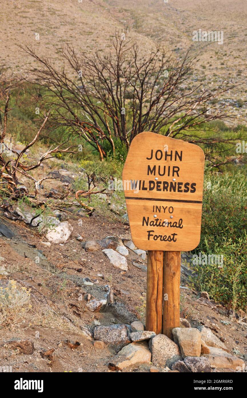 John Muir Wilderness-Schild mit verbranntem Baum dahinter Stockfoto