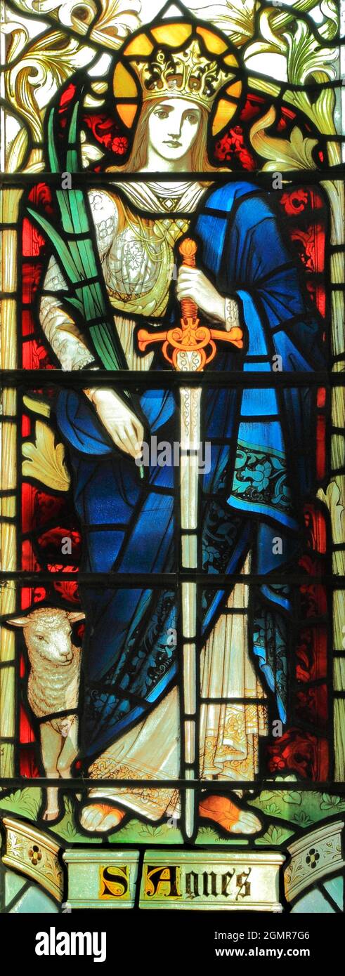 St. Agnes, von Rom, 3. Jahrhundert jungfräuliche Märtyrerin, heilige, mit Lamm, Glasfenster, von J Powell & Son, 1900, Blakeney, Norfolk, England Stockfoto