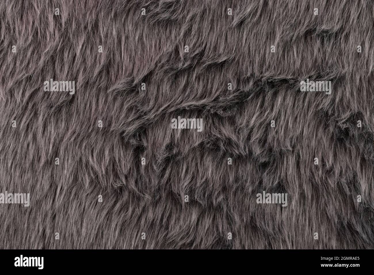 Hintergrund Mit Grauer Pelzstruktur Stockfoto