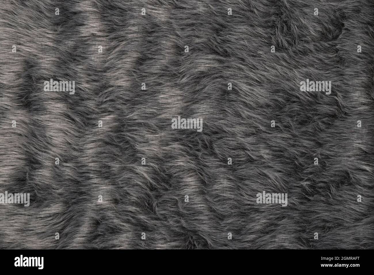 Hundehaut Textur, graue pelzige Hundehaut Textur Stockfoto