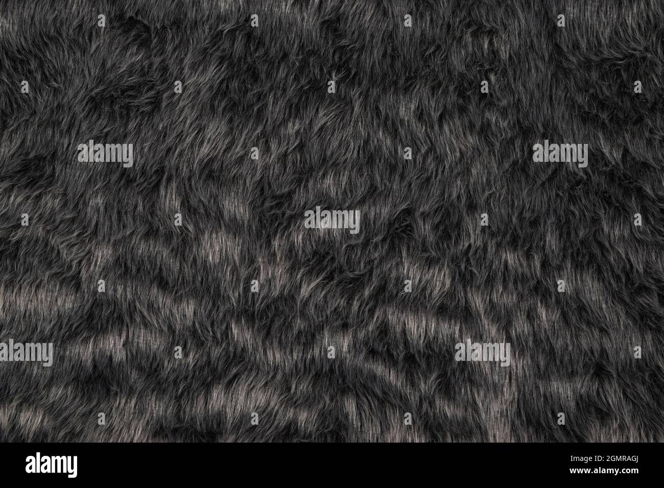 Pelzstruktur Hintergrund, Draufsicht auf graues Pelzmuster Stockfoto