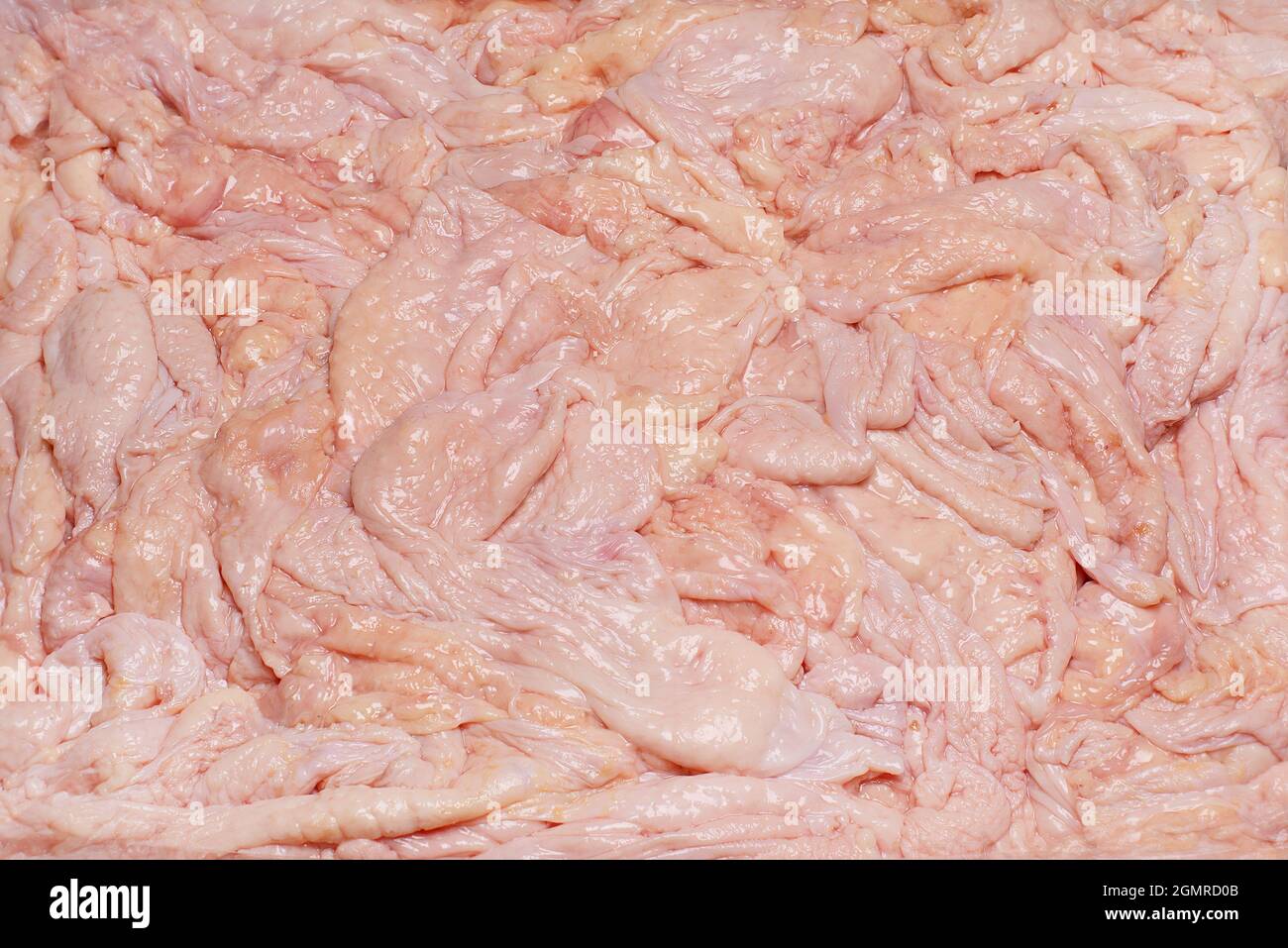 RAW Chicken Skin Makro .Frische Hühnerhaut Nahaufnahme in einer Box. Stockfoto