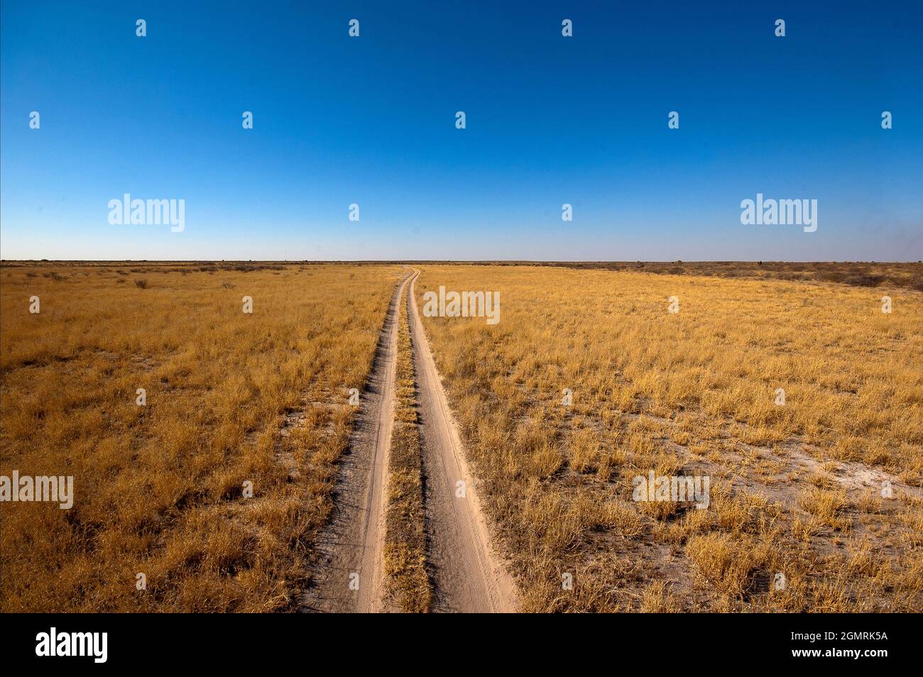 Sandweg auf dem Central Kalahari Game Reserve, Botswana Stockfoto