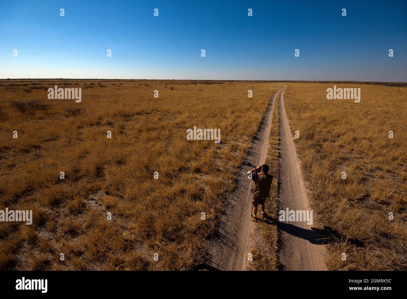 Safari im Central Kalahari Game Reserve, Botswana Stockfoto